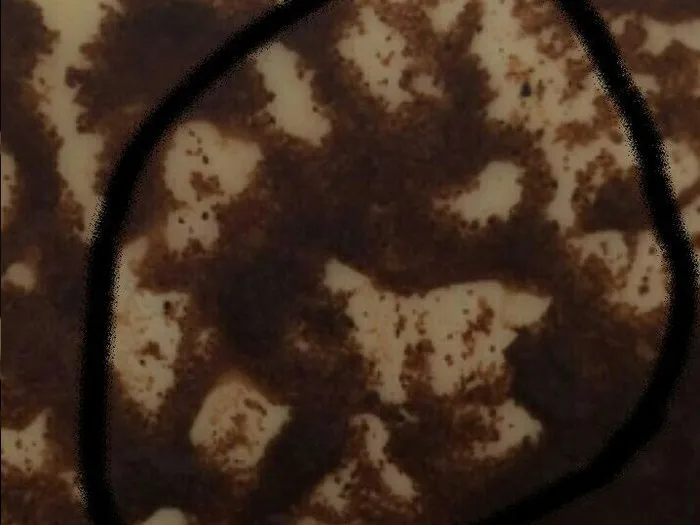 Онлайн запись на прием к гадалке в Заречном